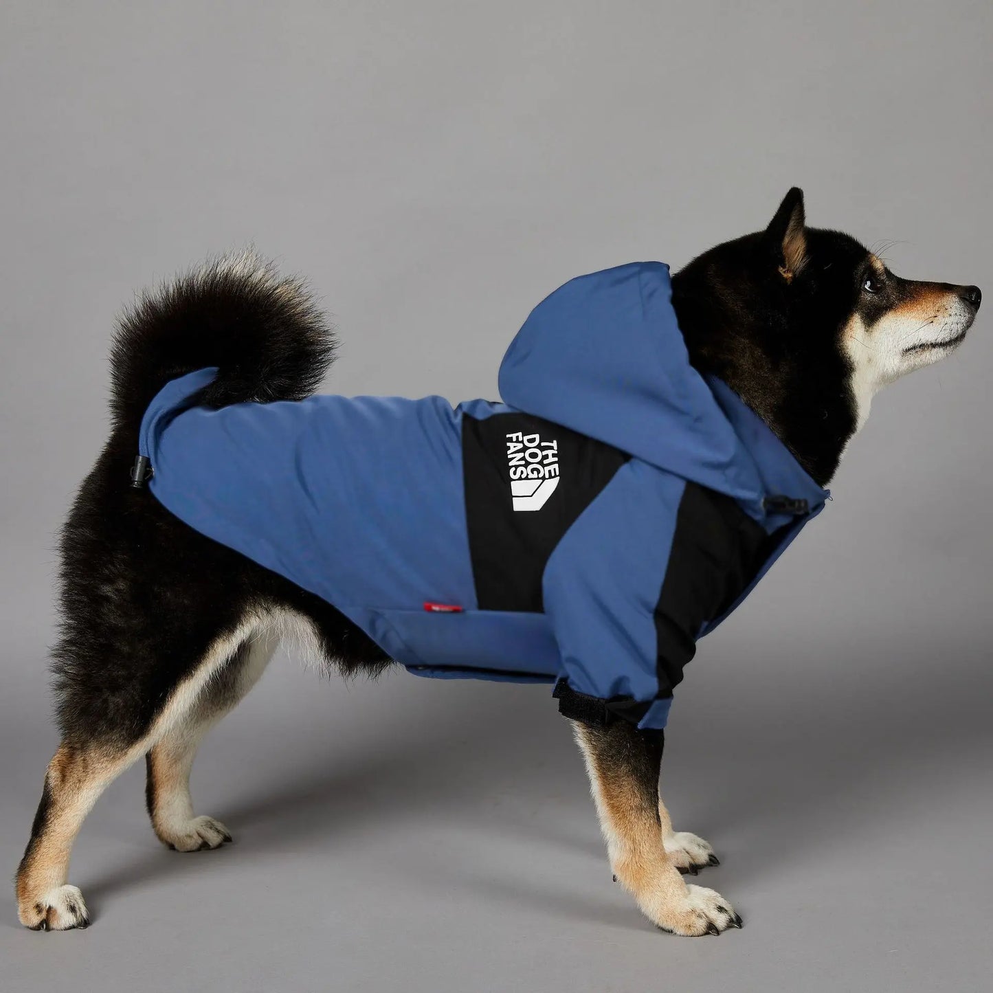 The Dog Fans - Original wind- and rainp"roof" coat