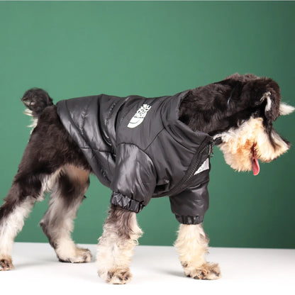 The Dog Fans 24/25 - Windp"roof" winter jacket