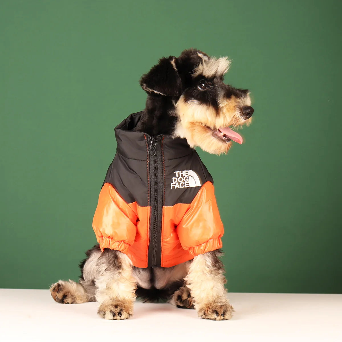 The Dog Fans 24/25 - Windp"roof" winter jacket